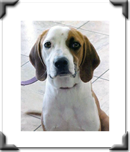 Tucker